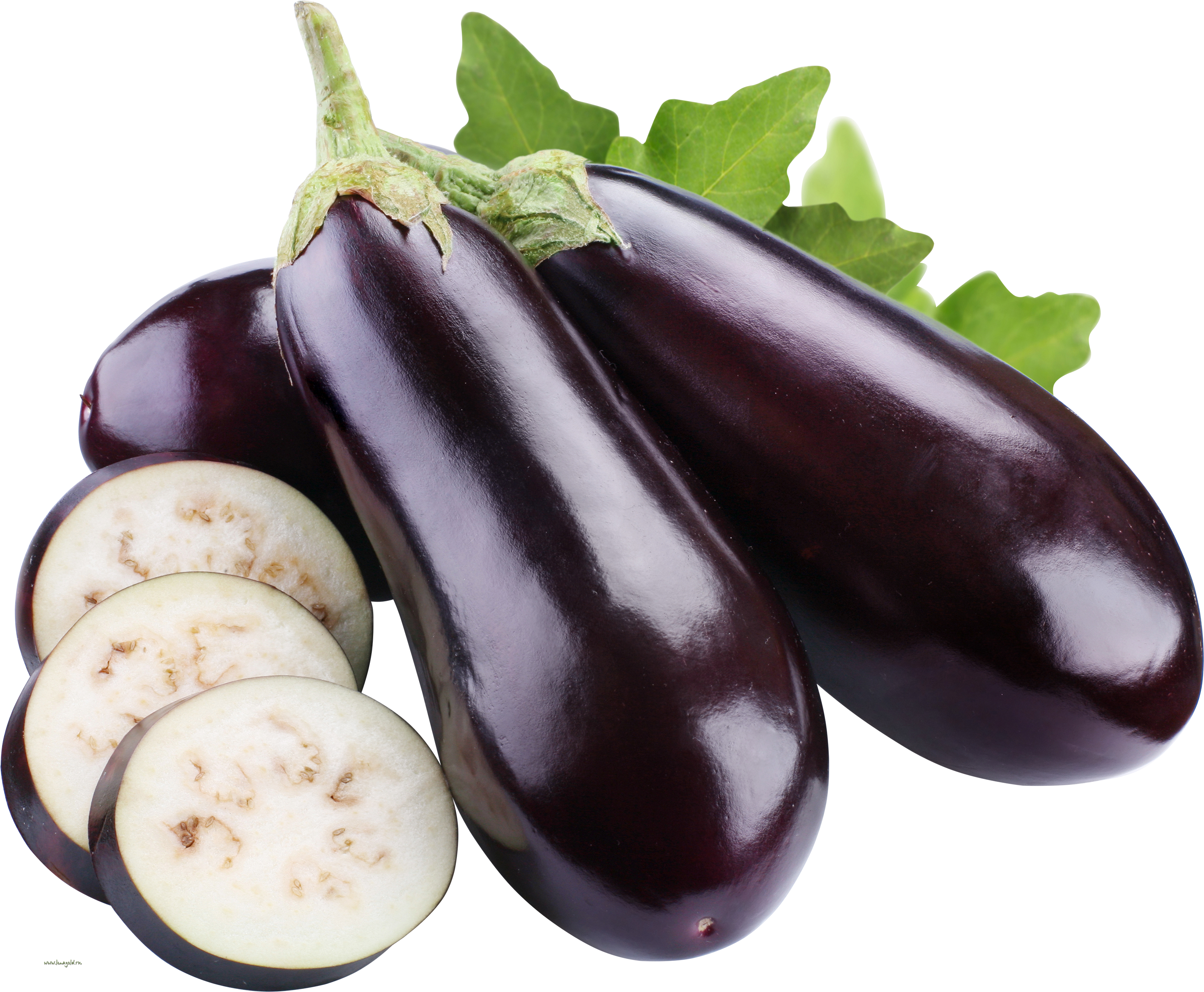 Eggplant